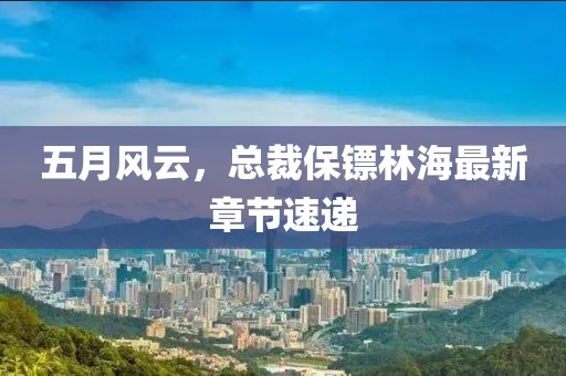 五月風云,總裁保鏢林海最新章節速遞