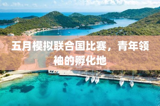 五月模擬聯(lián)合國比賽，青年領(lǐng)袖的孵化地