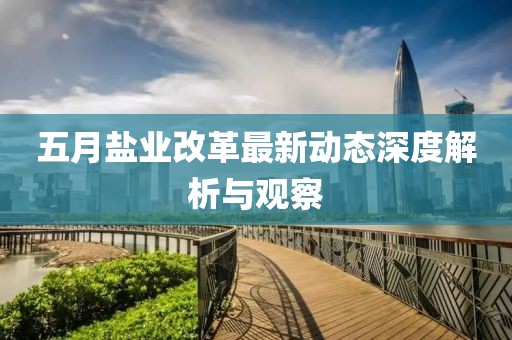 五月鹽業改革最新動態深度解析與觀察