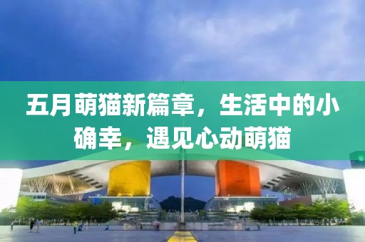 五月萌貓新篇章,生活中的小確幸,遇見心動萌貓