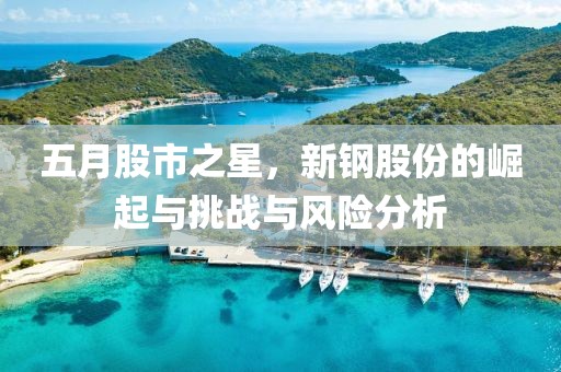 五月股市之星,新鋼股份的崛起與挑戰與風險分析