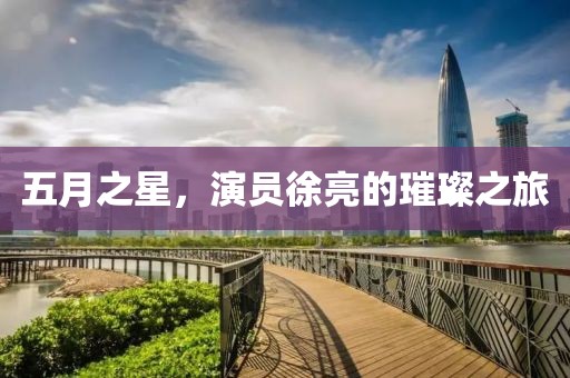 五月之星,演員徐亮的璀璨之旅