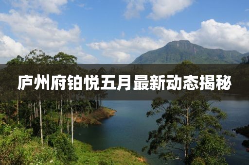 廬州府鉑悅五月最新動態揭秘