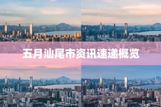 五月汕尾市資訊速遞概覽