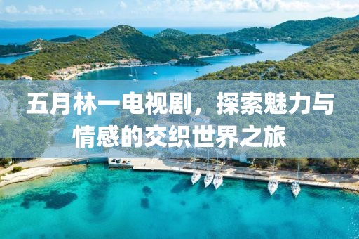 五月林一電視劇,探索魅力與情感的交織世界之旅