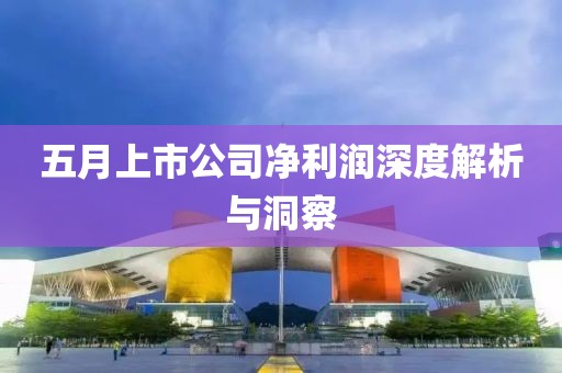 五月上市公司凈利潤深度解析與洞察