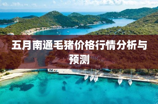 五月南通毛豬價格行情分析與預測