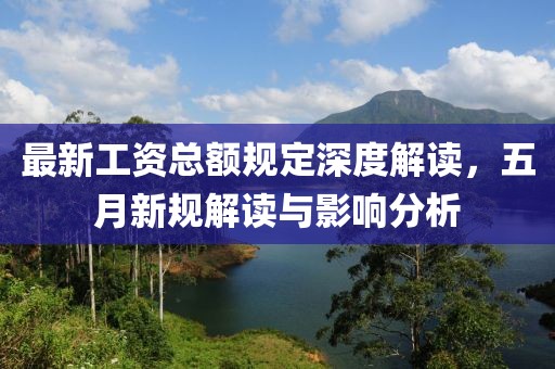 最新工資總額規(guī)定深度解讀,五月新規(guī)解讀與影響分析