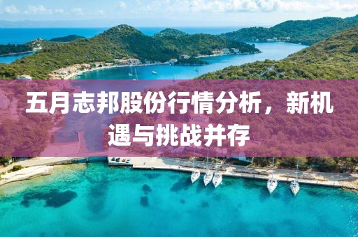 五月志邦股份行情分析,新機遇與挑戰并存