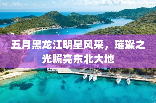 五月黑龍江明星風采,璀璨之光照亮東北大地
