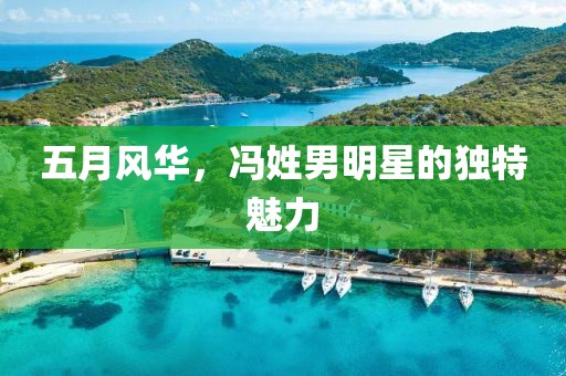 五月風華,馮姓男明星的獨特魅力