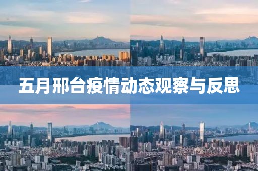 五月邢臺疫情動態觀察與反思