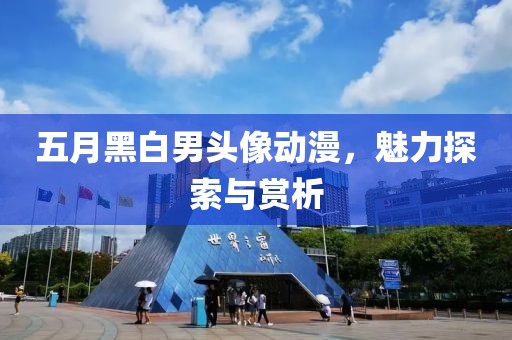 五月黑白男頭像動漫,魅力探索與賞析