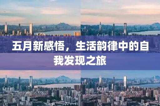 五月新感悟,生活韻律中的自我發現之旅