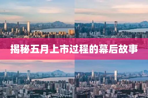 揭秘五月上市過(guò)程的幕后故事