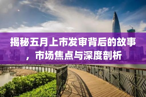 揭秘五月上市發審背后的故事，市場焦點與深度剖析