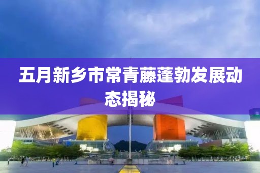 五月新鄉(xiāng)市常青藤蓬勃發(fā)展動態(tài)揭秘
