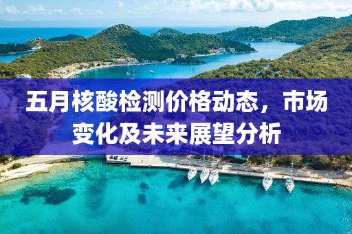 五月核酸檢測價格動態,市場變化及未來展望分析