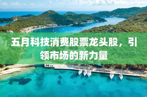 五月科技消費股票龍頭股,引領市場的新力量