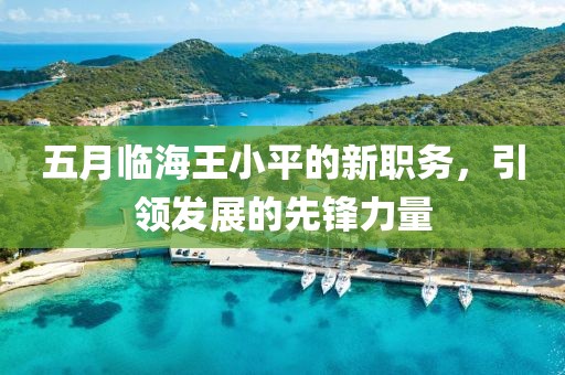 五月臨海王小平的新職務,引領發展的先鋒力量