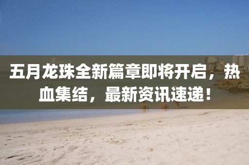 五月龍珠全新篇章即將開啟,熱血集結,最新資訊速遞!