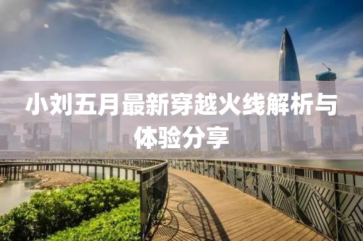 小劉五月最新穿越火線解析與體驗分享