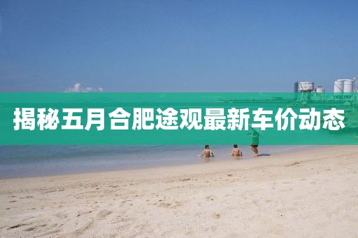 揭秘五月合肥途觀最新車價(jià)動(dòng)態(tài)