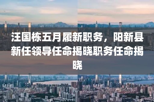 汪國棟五月履新職務(wù),陽新縣新任領(lǐng)導(dǎo)任命揭曉職務(wù)任命揭曉