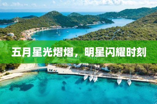 五月星光熠熠,明星閃耀時刻