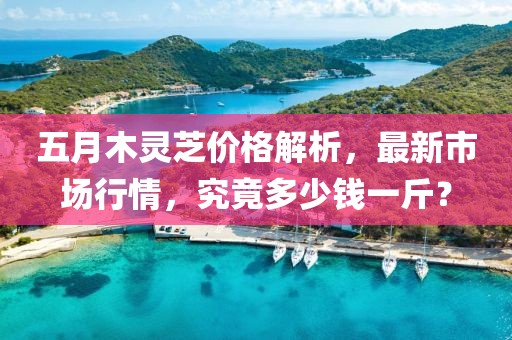 五月木靈芝價格解析,最新市場行情,究竟多少錢一斤?
