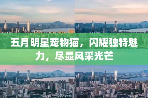 第18頁