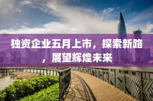獨資企業五月上市,探索新路,展望輝煌未來