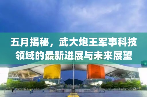五月揭秘,武大炮王軍事科技領域的最新進展與未來展望