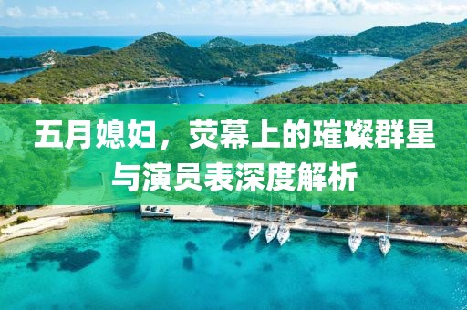 五月媳婦,熒幕上的璀璨群星與演員表深度解析