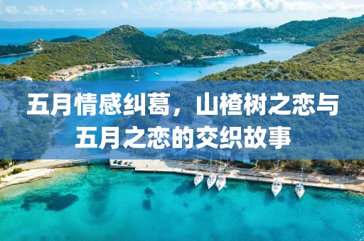 五月情感糾葛,山楂樹之戀與五月之戀的交織故事