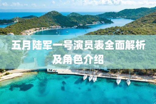 五月陸軍一號演員表全面解析及角色介紹