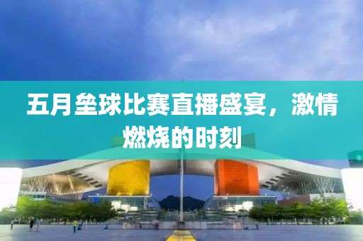 五月壘球比賽直播盛宴,激情燃燒的時刻