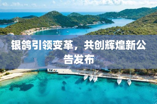 銀鴿引領變革,共創輝煌新公告發布