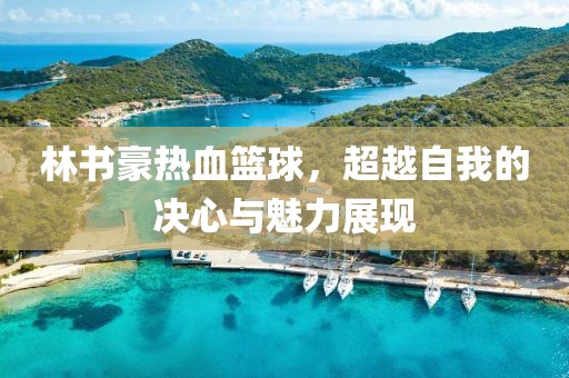林書豪熱血籃球,超越自我的決心與魅力展現