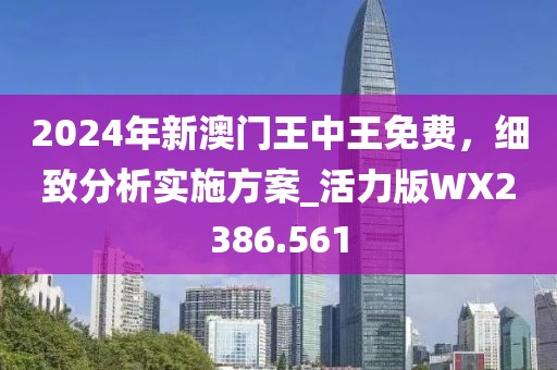 2024年新澳門王中王免費,細致分析實施方案_活力版WX2386.561