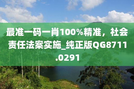 最準一碼一肖100%精準,社會責任法案實施_純正版QG8711.0291