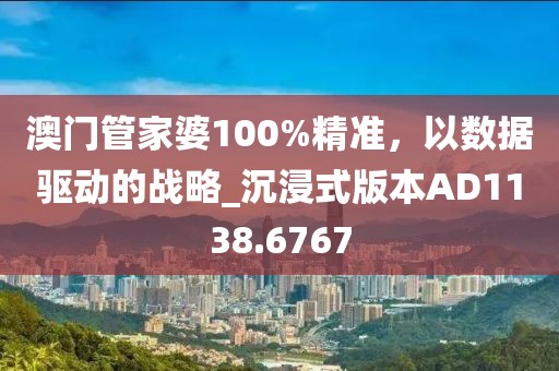 澳門管家婆100%精準，以數據驅動的戰略_沉浸式版本AD1138.6767