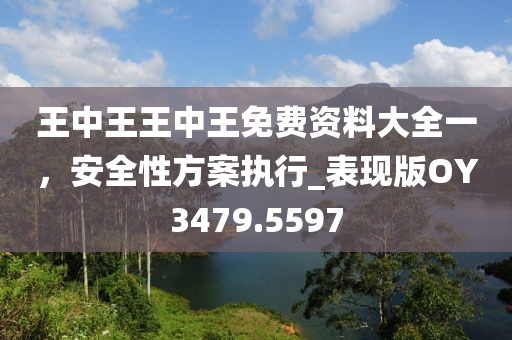 王中王王中王免費資料大全一，安全性方案執行_表現版OY3479.5597