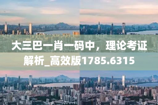 大三巴一肖一碼中,理論考證解析_高效版1785.6315