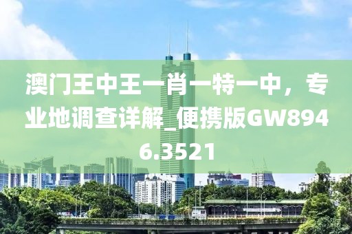澳門王中王一肖一特一中,專業地調查詳解_便攜版GW8946.3521