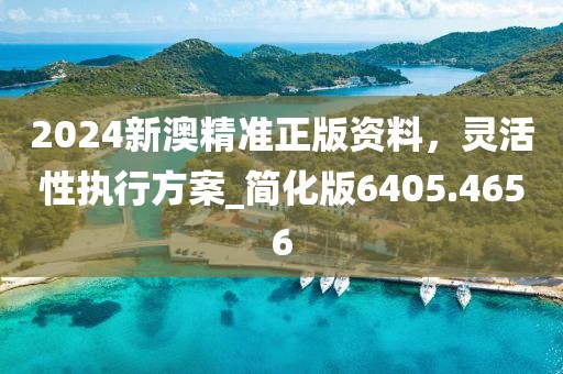 2024新澳精準正版資料,靈活性執行方案_簡化版6405.4656