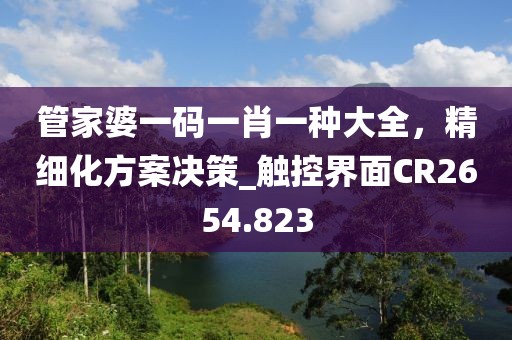管家婆一碼一肖一種大全,精細化方案決策_觸控界面CR2654.823