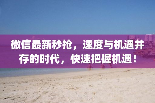 微信最新秒搶,速度與機遇并存的時代,快速把握機遇!