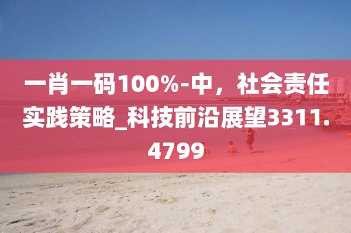 一肖一碼100%-中,社會責(zé)任實踐策略_科技前沿展望3311.4799