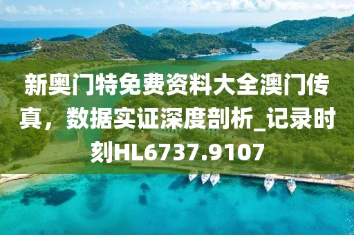 新奧門特免費資料大全澳門傳真,數據實證深度剖析_記錄時刻HL6737.9107